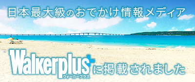 Waiker plusへ
